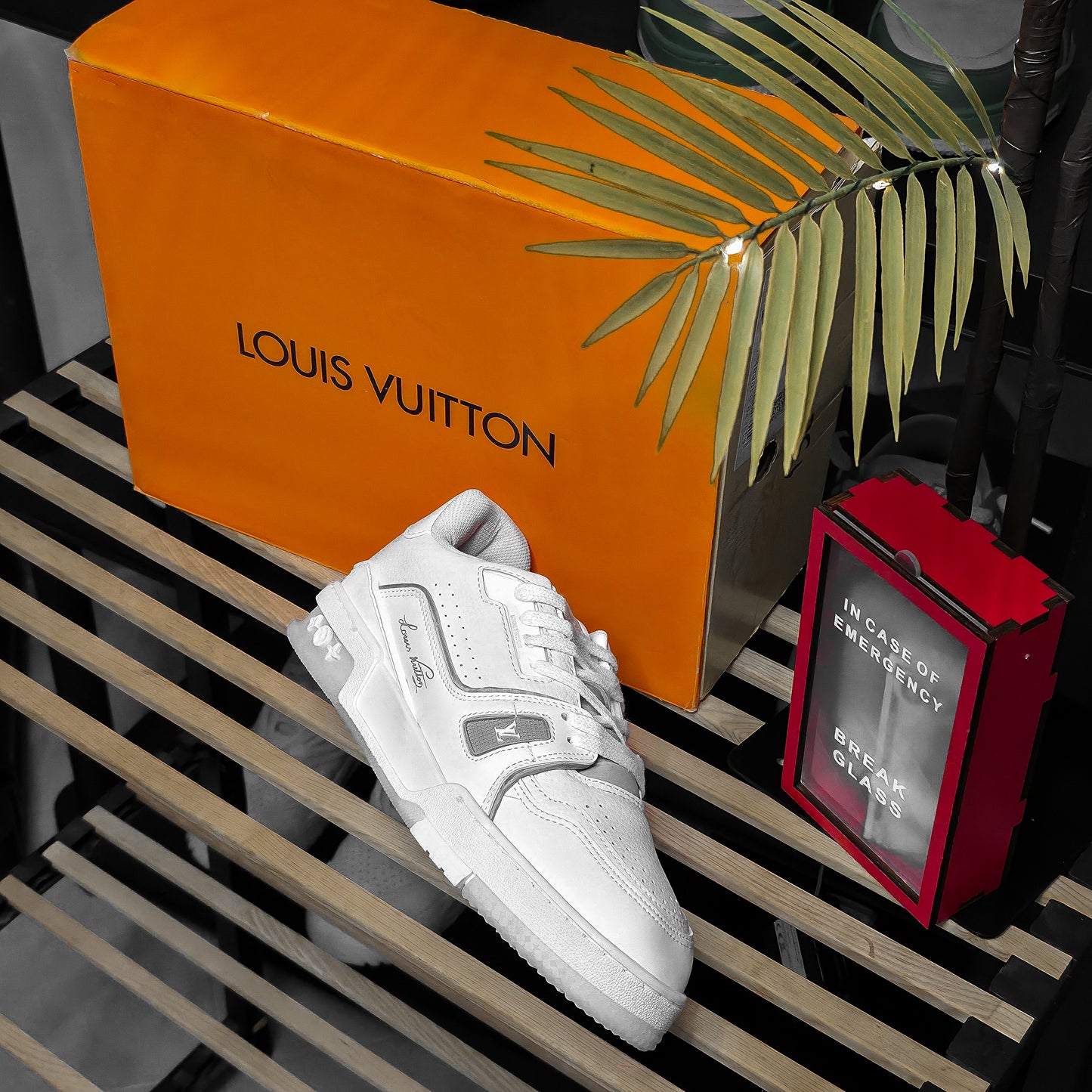 LV TRAINER #54