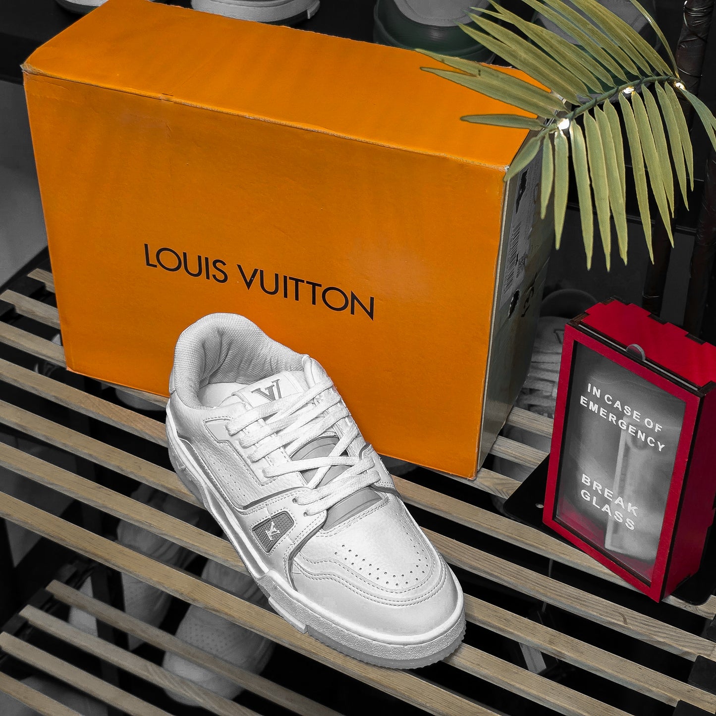 LV TRAINER #54