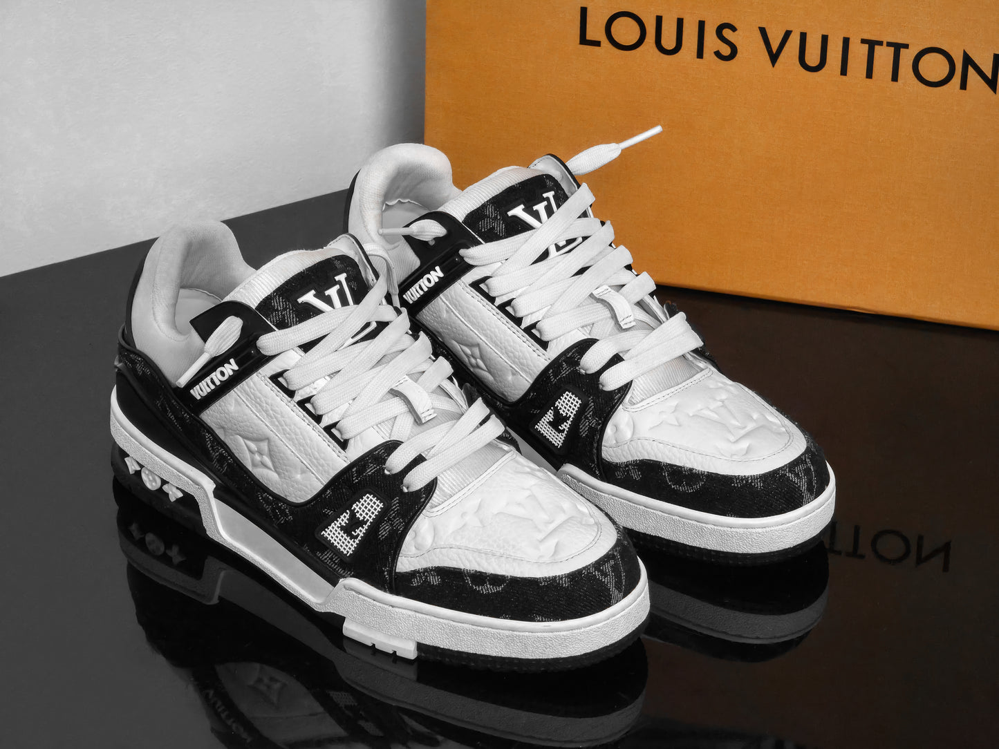 LV TRAINER B&W