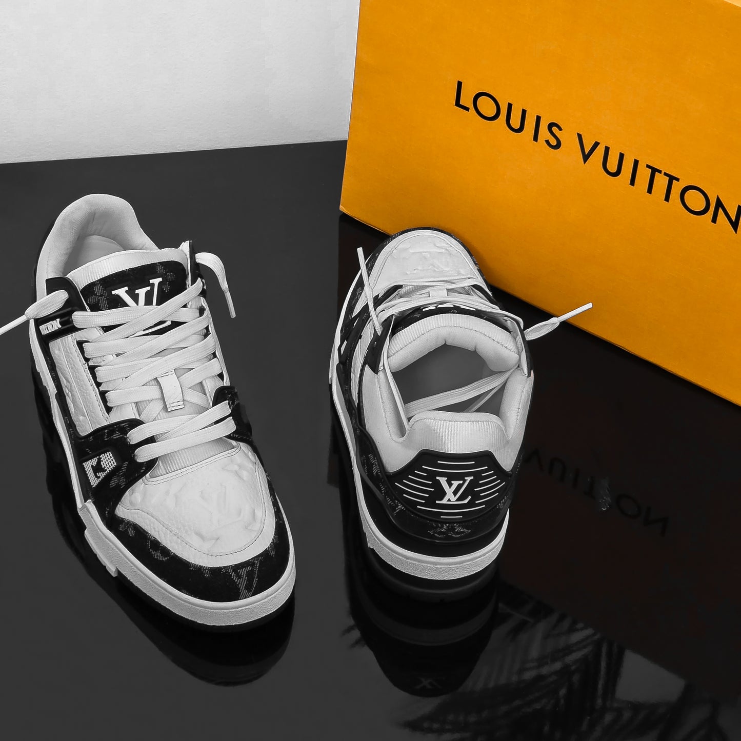 LV TRAINER B&W