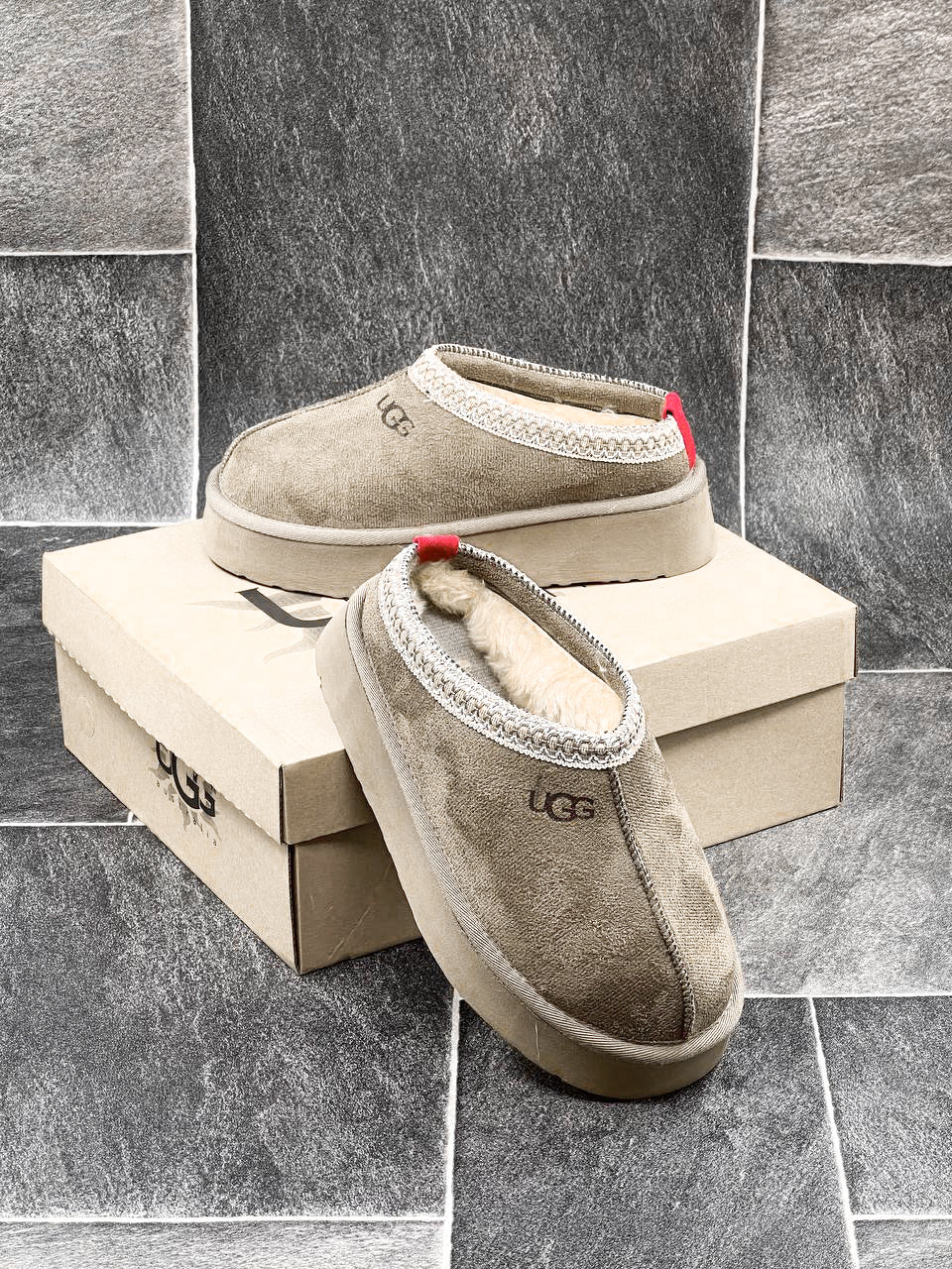 UGG TAZZ CREAM