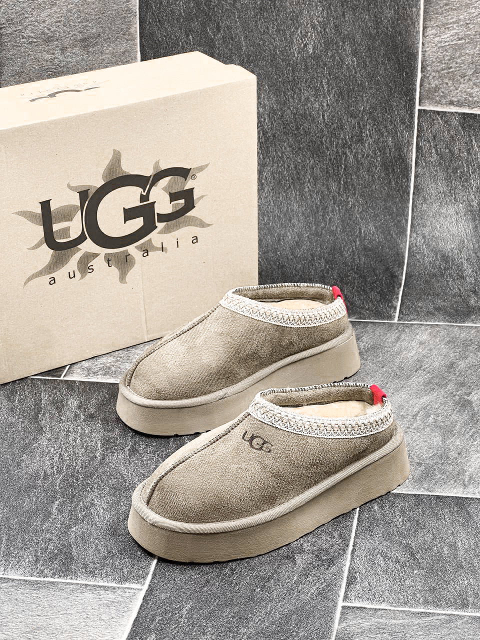 UGG TAZZ CREAM