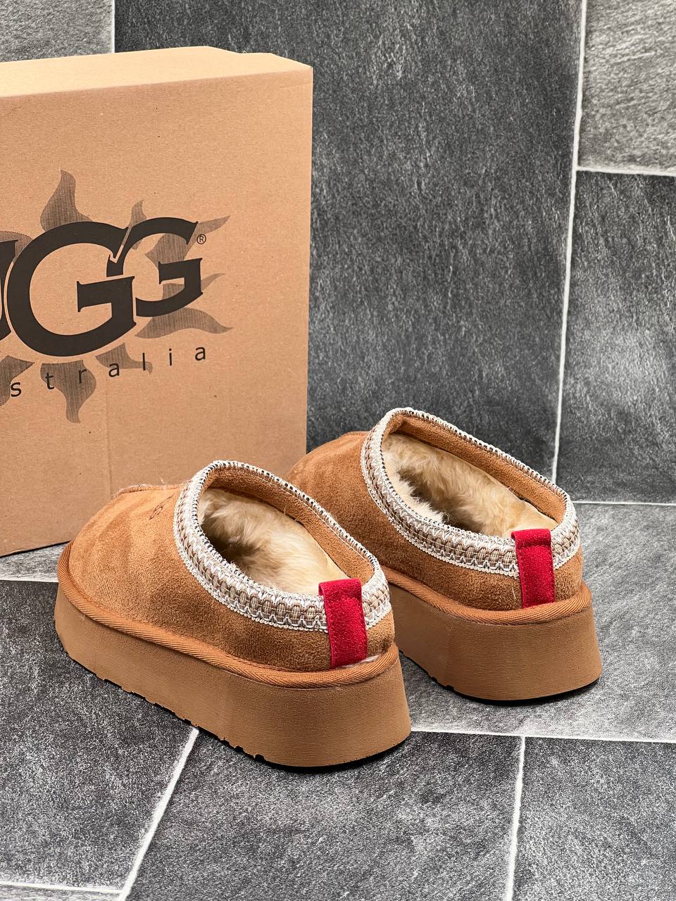 UGG TAZZ BROWN
